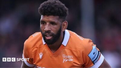 Andrews died of tear in artery around heart – autopsy