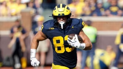 Michigan TE apologizes for ‘inappropriate’ criticism of OC Beck